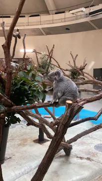 多摩動物公園に投稿された画像（2025/2/17）