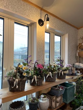 leaf&flower Scent of Gardeniaに投稿された画像（2025/2/17）