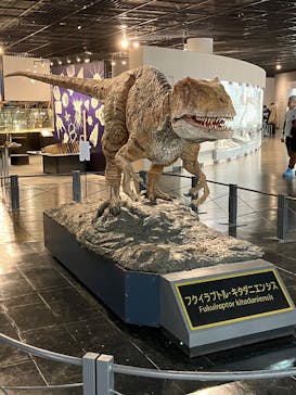 福井県立恐竜博物館に投稿された画像（2025/2/17）