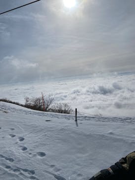 びわ湖バレイに投稿された画像（2025/2/17）