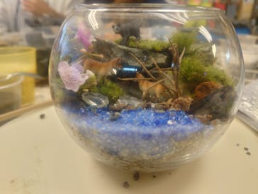 カルチャースクールいろはに投稿された画像（2025/2/17）