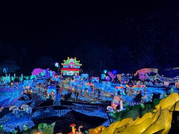 伊豆高原グランイルミに投稿された画像（2025/2/17）