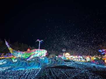 伊豆高原グランイルミに投稿された画像（2025/2/17）