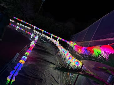 伊豆高原グランイルミに投稿された画像（2025/2/17）