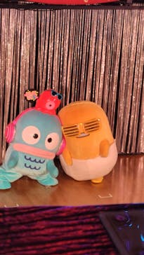 サンリオピューロランドに投稿された画像（2025/2/17）