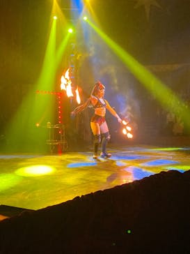 ワールドドリームサーカス春日部公演に投稿された画像（2025/2/17）