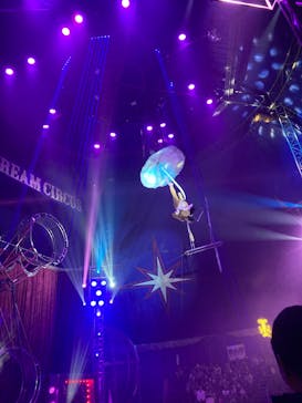 ワールドドリームサーカス春日部公演に投稿された画像（2025/2/17）