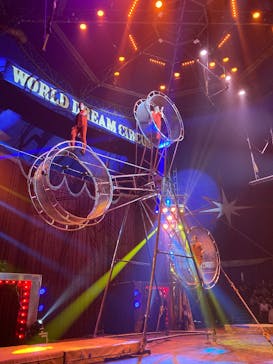 ワールドドリームサーカス春日部公演に投稿された画像（2025/2/17）