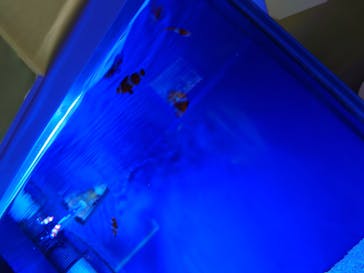 名古屋港水族館に投稿された画像（2025/2/17）