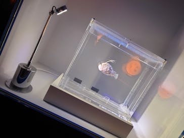 名古屋港水族館に投稿された画像（2025/2/17）