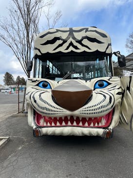 群馬サファリパークに投稿された画像（2025/2/17）