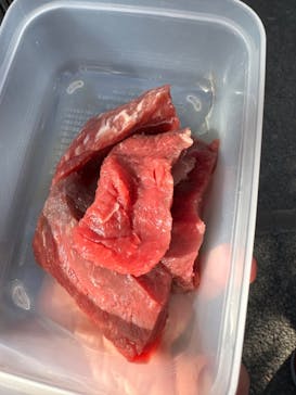 群馬サファリパークに投稿された画像（2025/2/17）