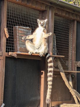 神戸どうぶつ王国に投稿された画像（2025/2/17）