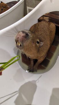 アニタッチ 東京ドームシティに投稿された画像（2025/2/17）