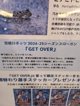 アクアワールド茨城県大洗水族館に投稿された画像（2025/2/17）