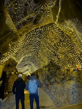 江の島シーキャンドル×新江ノ島水族館に投稿された画像（2025/2/18）