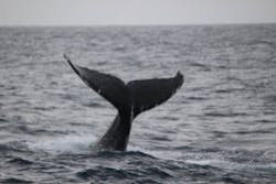 NEWS那覇店に投稿された画像（2025/2/18）