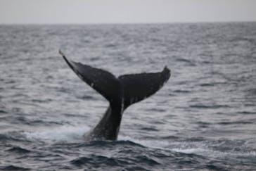 NEWS那覇店に投稿された画像（2025/2/18）