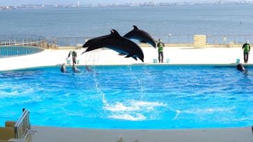 マリンワールド海の中道に投稿された画像（2025/2/18）