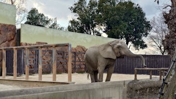 東武動物公園に投稿された画像（2025/2/18）