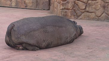 東武動物公園に投稿された画像（2025/2/18）