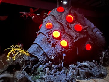 金曜ロードショーとジブリ展　三重展に投稿された画像（2025/2/18）