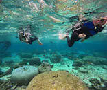 武藤潜水に投稿された画像（2025/2/18）