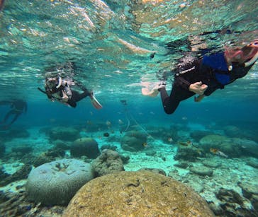 武藤潜水に投稿された画像（2025/2/18）