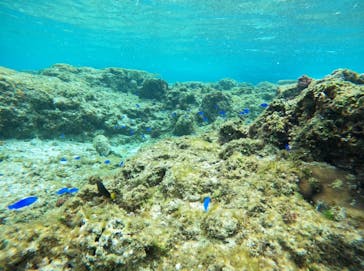 武藤潜水に投稿された画像（2025/2/18）