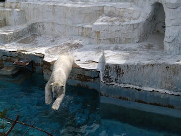 天王寺動物園に投稿された画像（2025/2/18）