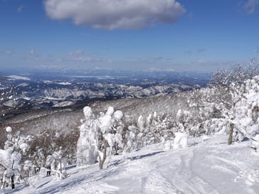阿仁スキー場に投稿された画像（2025/2/18）