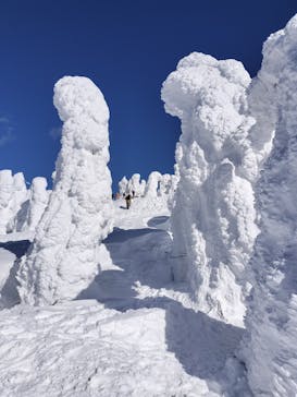 阿仁スキー場に投稿された画像（2025/2/18）