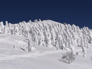 阿仁スキー場に投稿された画像（2025/2/18）