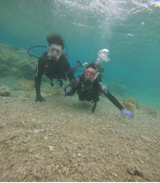 武藤潜水に投稿された画像（2025/2/18）