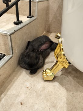 アニタッチPARKイオンモール太田に投稿された画像（2025/2/18）