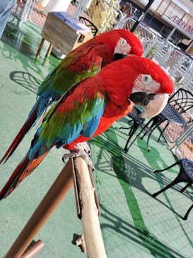 アニタッチPARKイオンモール太田に投稿された画像（2025/2/18）