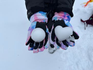 Hokkaido Great Adventure（北海道グレートアドベンチャー）に投稿された画像（2025/2/18）