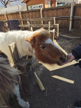 まかいの牧場に投稿された画像（2025/2/18）