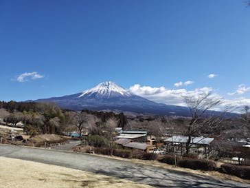 まかいの牧場に投稿された画像（2025/2/18）