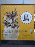 特別展「鳥 ～ゲノム解析が解き明かす新しい鳥類の系統～」国立科学博物館に投稿された画像（2025/2/18）
