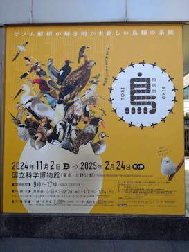 特別展「鳥 ～ゲノム解析が解き明かす新しい鳥類の系統～」国立科学博物館に投稿された画像（2025/2/18）