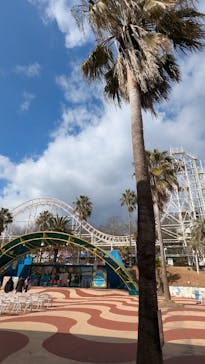 ブラジリアンパーク鷲羽山ハイランドに投稿された画像（2025/2/18）