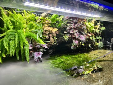 カワスイ 川崎⽔族館に投稿された画像（2025/2/18）