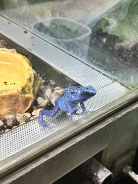 カワスイ 川崎⽔族館に投稿された画像（2025/2/18）