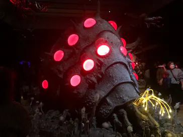 金曜ロードショーとジブリ展　三重展に投稿された画像（2025/2/18）