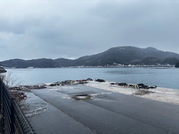 伊根湾めぐり遊覧船に投稿された画像（2025/2/18）