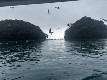 伊根湾めぐり遊覧船に投稿された画像（2025/2/18）
