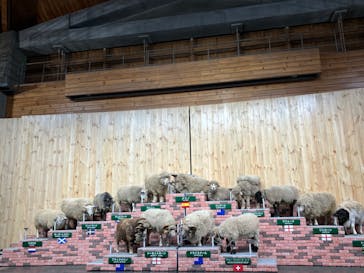 マザー牧場に投稿された画像（2025/2/18）