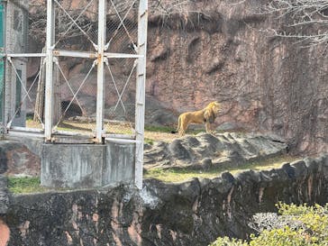 名古屋市東山動植物園に投稿された画像（2025/2/18）