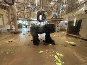 名古屋市東山動植物園に投稿された画像（2025/2/18）